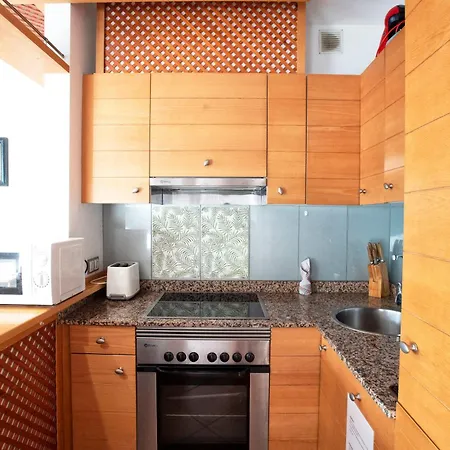 Adeje Paradise Oasis Apartment Costa Adeje (Tenerife)